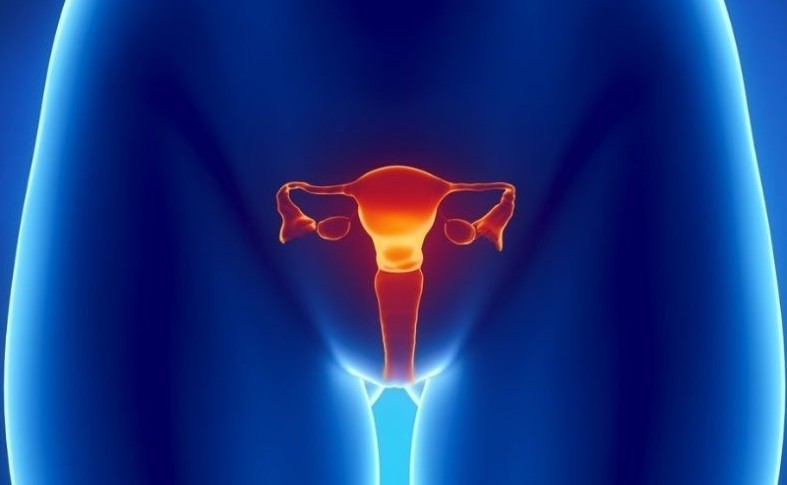 Диагностика и лечение нарушение менструального цикла с учетом сопутствующего заболевания <br>